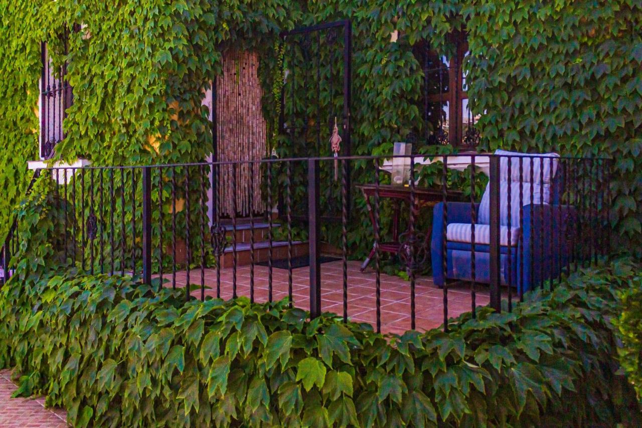Habitacion Onda Con Piscina Privada Ciudad Quesada Exterior photo